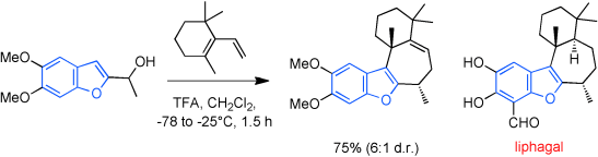 Total Synthesis of (+/-)-Frondosin B and (+/-)-5- <i>epi</i>-Liphagal by Using a Concise (4+3) Cycloaddition Approach